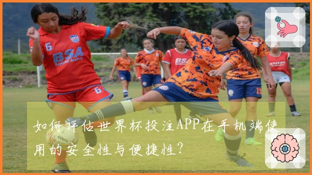 如何评估世界杯投注APP在手机端使用的安全性与便捷性？