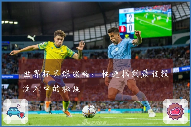 世界杯买球攻略，快速找到最佳投注入口的秘诀