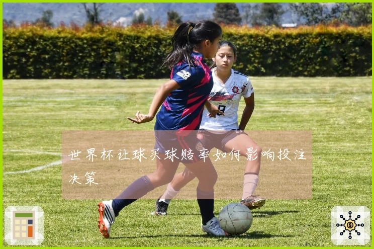 世界杯让球买球赔率如何影响投注决策
