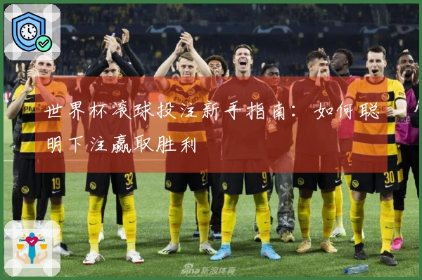 世界杯滚球投注新手指南：如何聪明下注赢取胜利