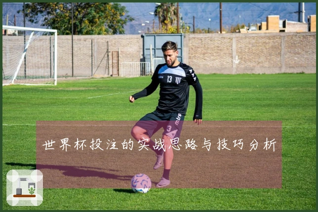 世界杯投注的实战思路与技巧分析