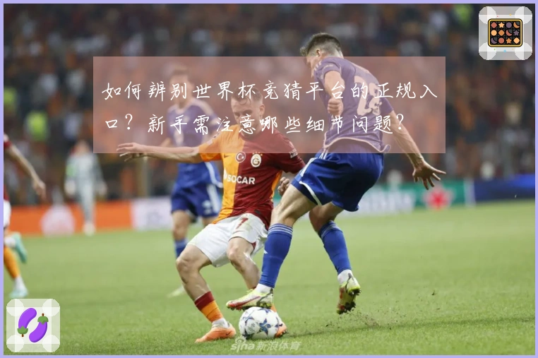 如何辨别世界杯竞猜平台的正规入口？新手需注意哪些细节问题？