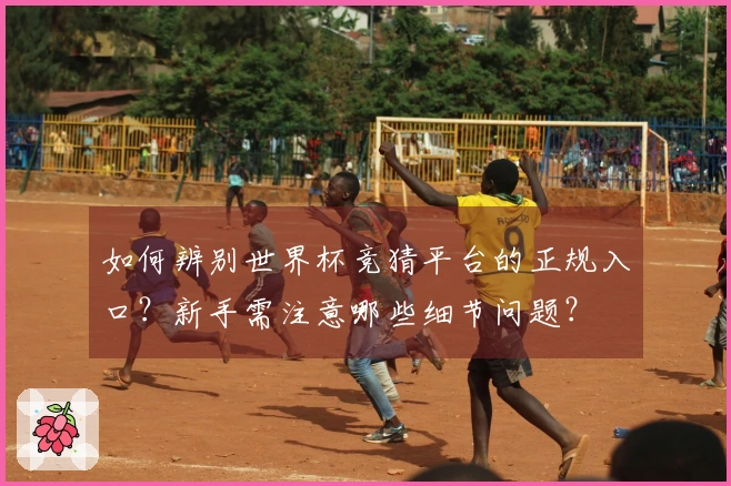 如何辨别世界杯竞猜平台的正规入口？新手需注意哪些细节问题？
