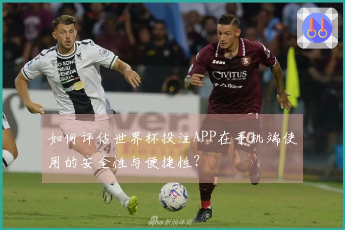 如何评估世界杯投注APP在手机端使用的安全性与便捷性？