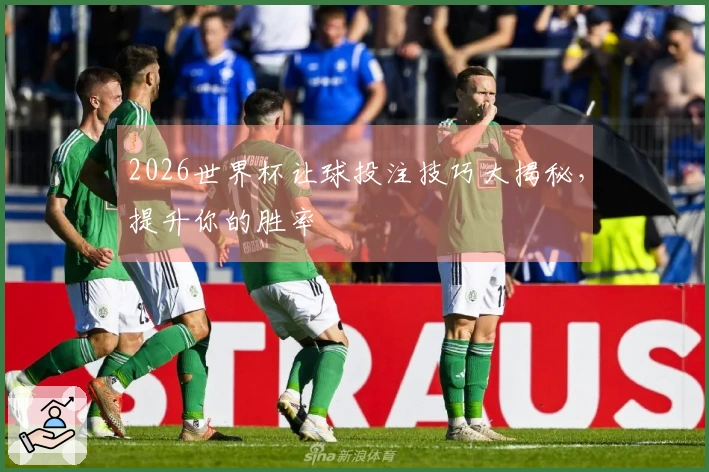 2026世界杯让球投注技巧大揭秘，提升你的胜率